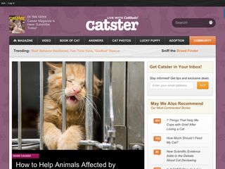 catster.com screenshot