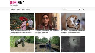 lifebuzz.com screenshot
