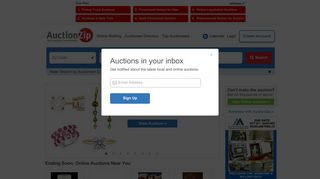 auctionzip.com screenshot