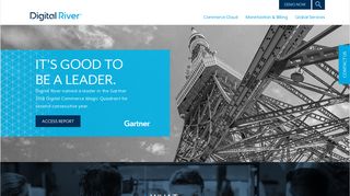 digitalriver.com screenshot