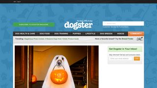 dogster.com screenshot