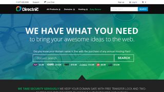 directnic.com screenshot