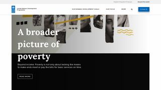 undp.org screenshot
